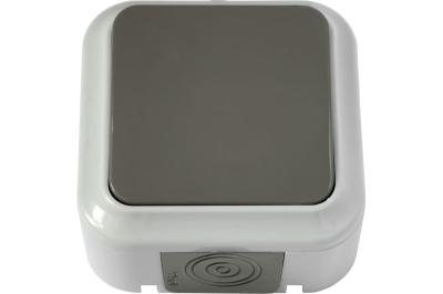 Выключатель 1кл о/п А16-222 ПРАЛЕСКА АКВА IP54