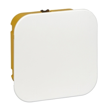 Коробка распр. для с/п  100*100*50 г/к Schneider Electric IMT35161